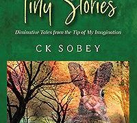 Diminutive Tales from the Tip of My Imagination