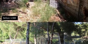 Action for change: one bird at a time via collaboration between IFAW and LAMB